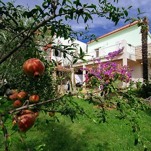 Apartment Maslina 